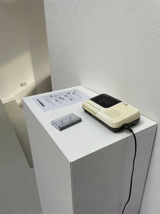 alt text